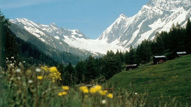 Hotel Edelweiss Blatten Loetschental エクステリア 写真
